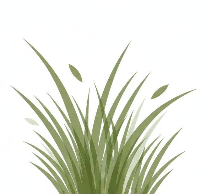 مزارع الزيتون الليبية